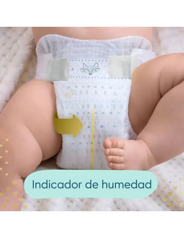 Pañales Pampers deluxe G X 72 - PAMPERS