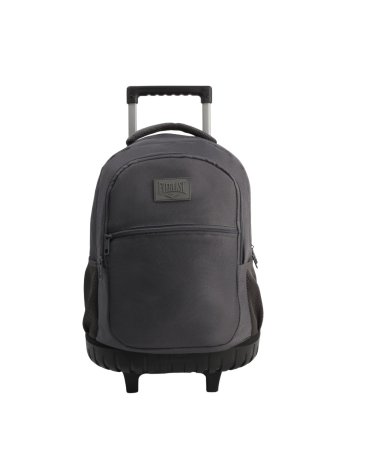 Mochila con Carro 17