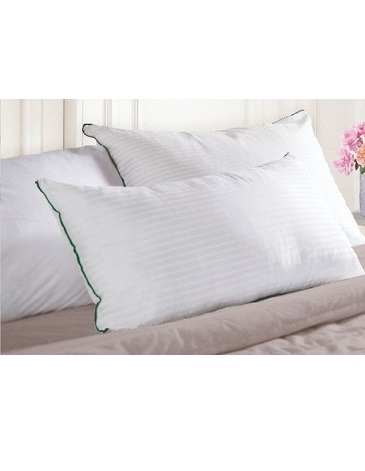 Almohada Estudio Clasica 70 x 50 ALCOYANA